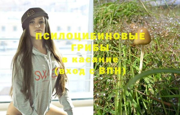 PSILOCYBIN Абаза