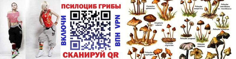 Псилоцибиновые грибы Psilocybe  Альметьевск 
